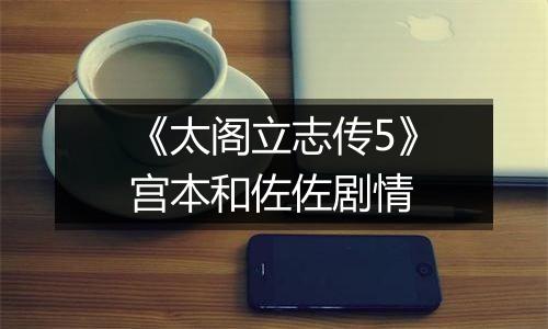 《太阁立志传5》宫本和佐佐剧情