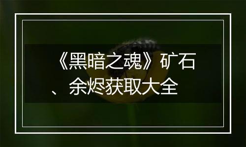 《黑暗之魂》矿石、余烬获取大全