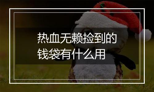 热血无赖捡到的钱袋有什么用