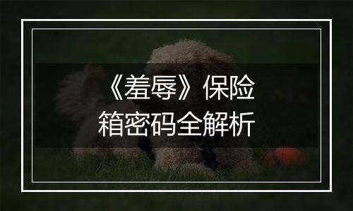 《羞辱》保险箱密码全解析