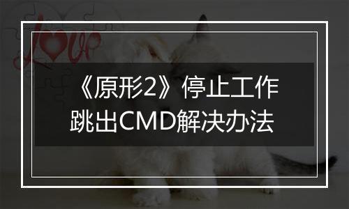 《原形2》停止工作跳出CMD解决办法