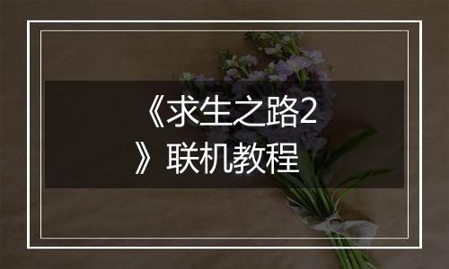 《求生之路2》联机教程