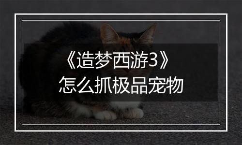 《造梦西游3》怎么抓极品宠物