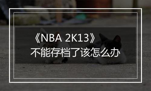 《NBA 2K13》不能存档了该怎么办