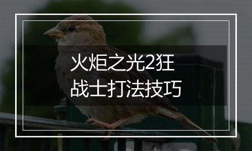 火炬之光2狂战士打法技巧