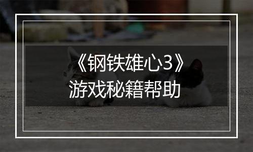 《钢铁雄心3》游戏秘籍帮助