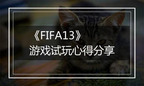 《FIFA13》游戏试玩心得分享