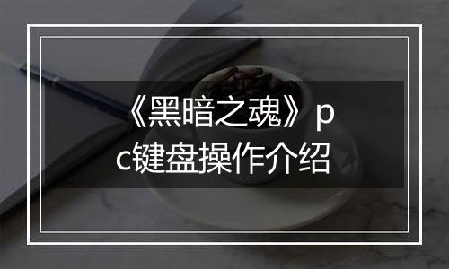 《黑暗之魂》pc键盘操作介绍