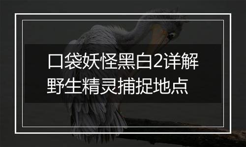 口袋妖怪黑白2详解野生精灵捕捉地点