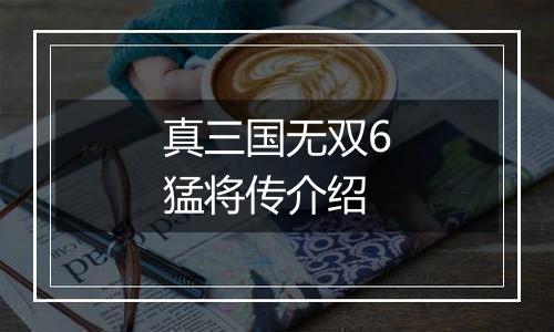 真三国无双6猛将传介绍