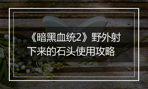 《暗黑血统2》野外射下来的石头使用攻略