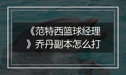 《范特西篮球经理》乔丹副本怎么打