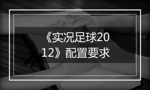 《实况足球2012》配置要求