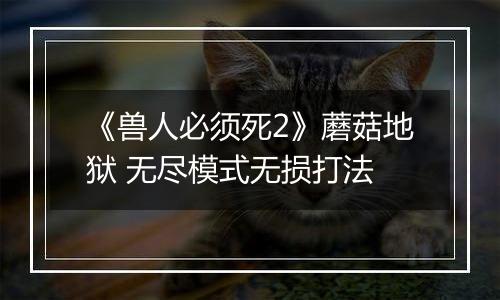 《兽人必须死2》蘑菇地狱 无尽模式无损打法