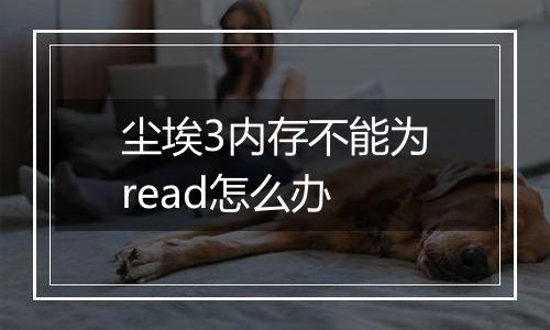 尘埃3内存不能为read怎么办