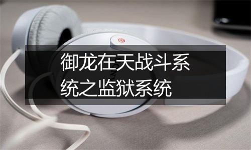 御龙在天战斗系统之监狱系统