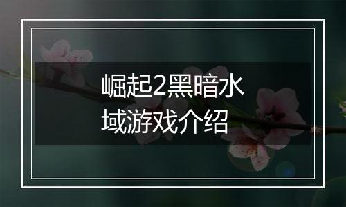 崛起2黑暗水域游戏介绍