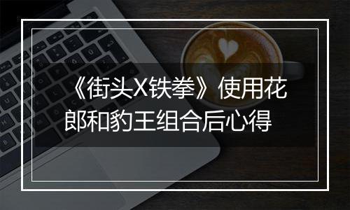 《街头X铁拳》使用花郎和豹王组合后心得