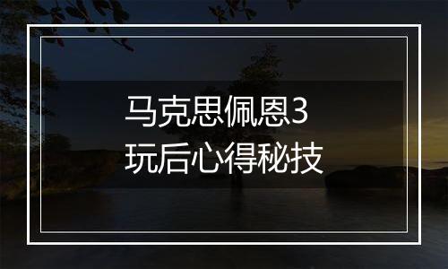 马克思佩恩3玩后心得秘技