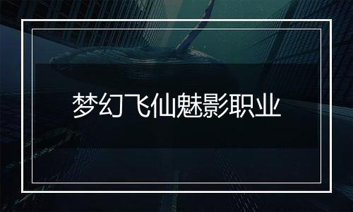 梦幻飞仙魅影职业