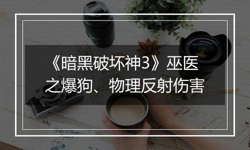 《暗黑破坏神3》巫医之爆狗、物理反射伤害