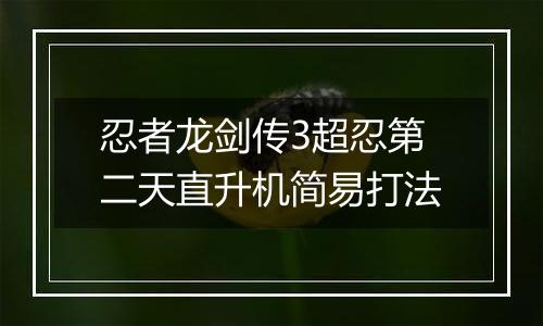 忍者龙剑传3超忍第二天直升机简易打法