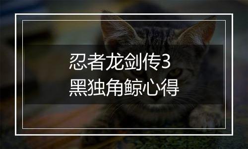 忍者龙剑传3黑独角鲸心得