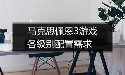 马克思佩恩3游戏各级别配置需求