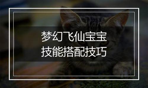 梦幻飞仙宝宝技能搭配技巧