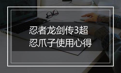 忍者龙剑传3超忍爪子使用心得