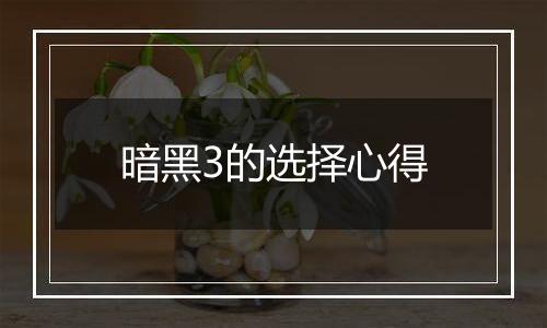 暗黑3的选择心得