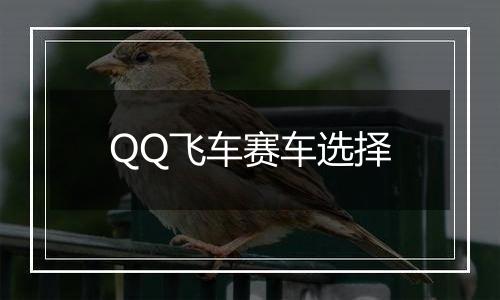 QQ飞车赛车选择