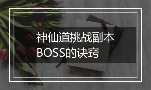 神仙道挑战副本BOSS的诀窍