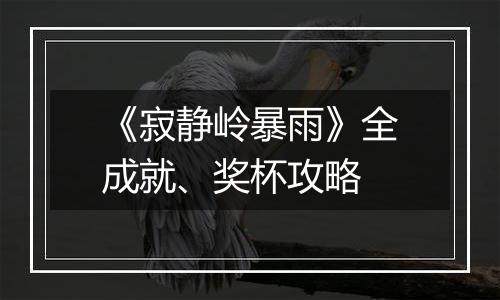 《寂静岭暴雨》全成就、奖杯攻略