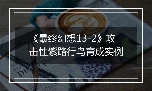 《最终幻想13-2》攻击性紫路行鸟育成实例