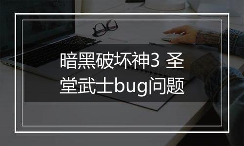 暗黑破坏神3 圣堂武士bug问题