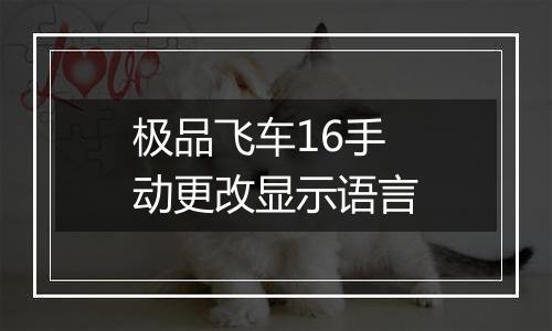 极品飞车16手动更改显示语言