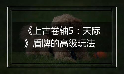 《上古卷轴5：天际》盾牌的高级玩法