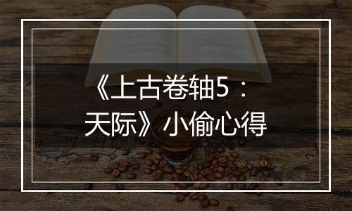 《上古卷轴5：天际》小偷心得