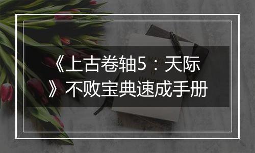 《上古卷轴5：天际》不败宝典速成手册