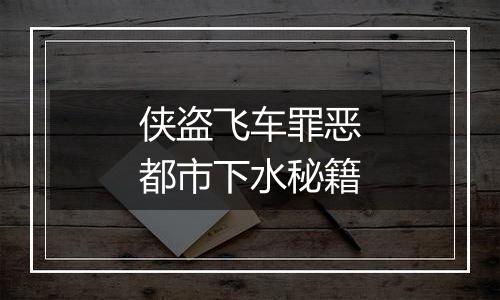 侠盗飞车罪恶都市下水秘籍