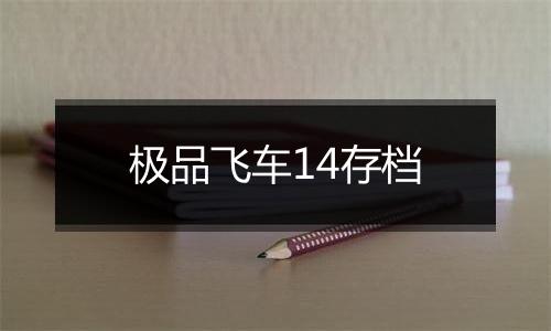 极品飞车14存档