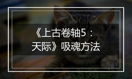 《上古卷轴5：天际》吸魂方法
