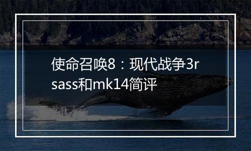 使命召唤8：现代战争3rsass和mk14简评