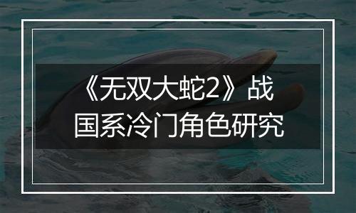 《无双大蛇2》战国系冷门角色研究