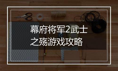 幕府将军2武士之殇游戏攻略