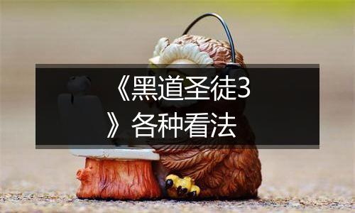 《黑道圣徒3》各种看法