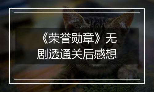 《荣誉勋章》无剧透通关后感想