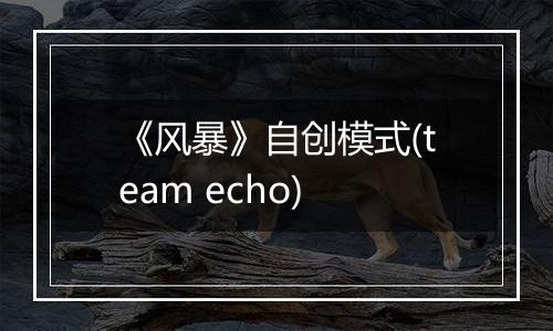 《风暴》自创模式(team echo)