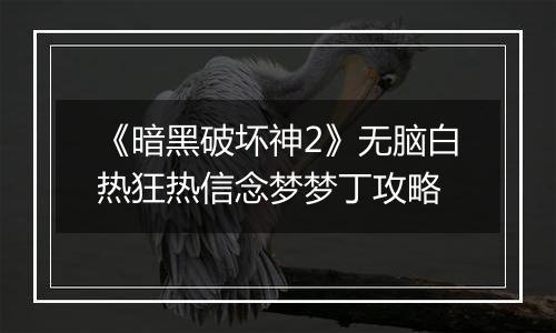 《暗黑破坏神2》无脑白热狂热信念梦梦丁攻略